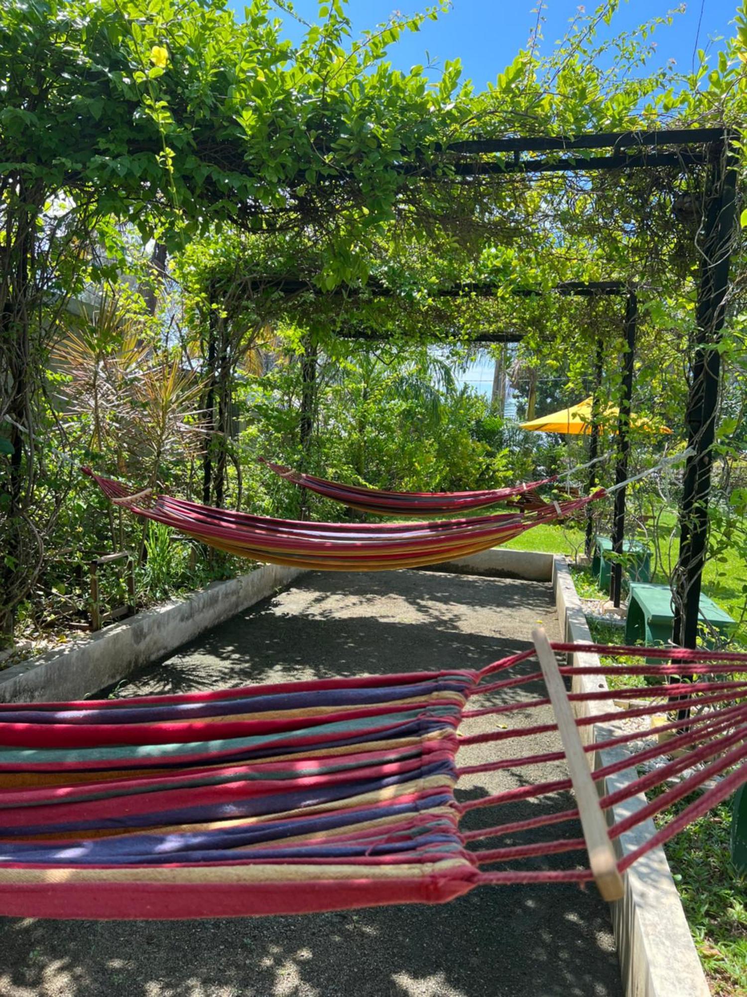 Boutique Villa Bougainvillea Weligama Eksteriør billede